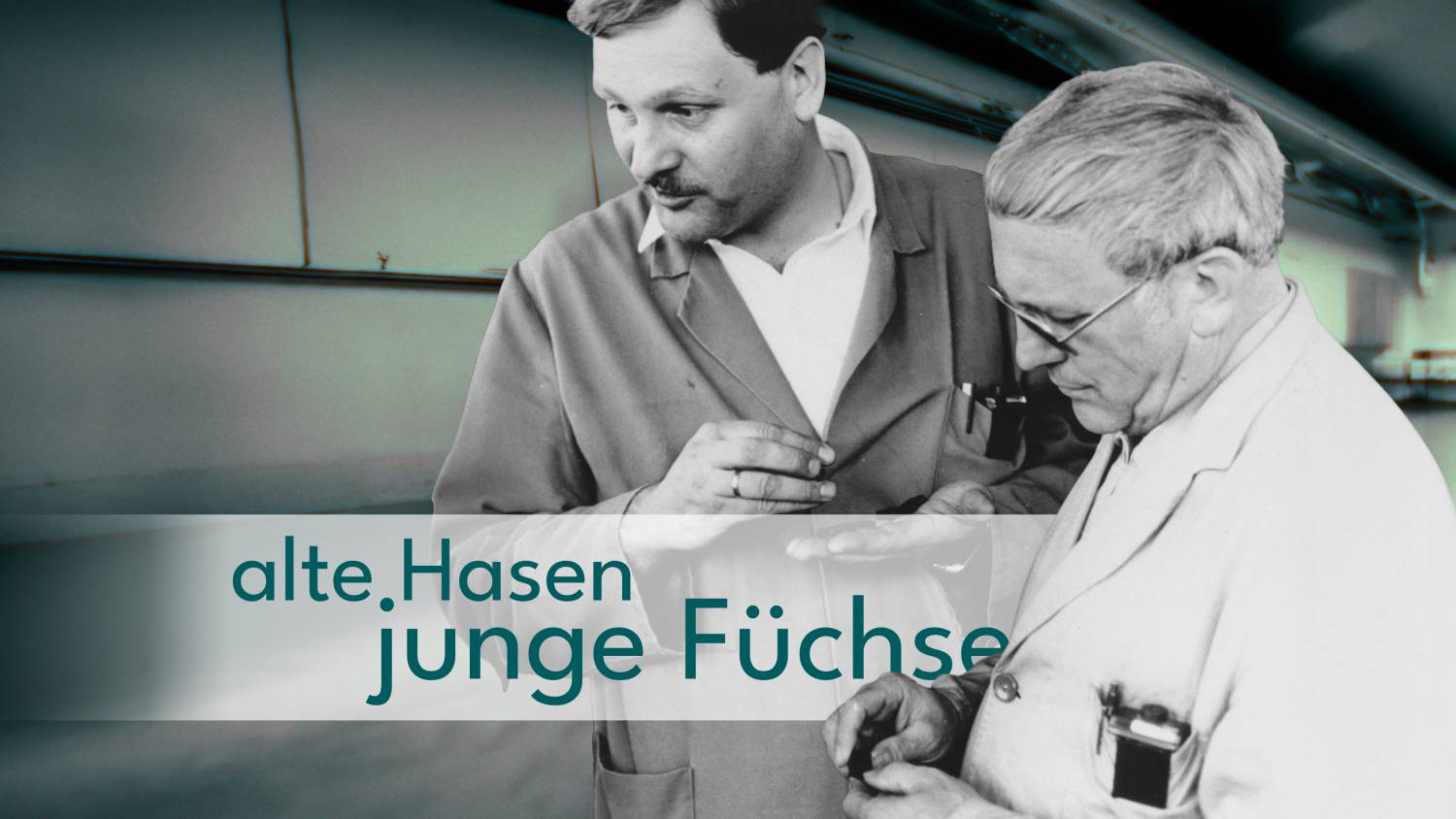 alte Hasen - junge Füchse Titelgrafik