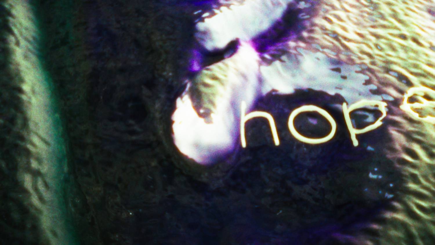 Animation Hope
